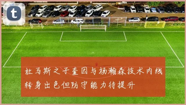 杜马斯之子奎因与杨瀚森技术内线转身出色但防守能力待提升