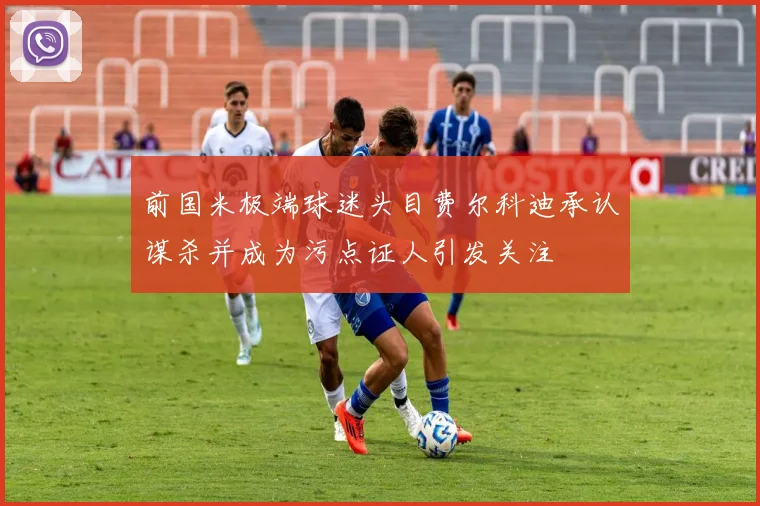 前国米极端球迷头目费尔科迪承认谋杀并成为污点证人引发关注
